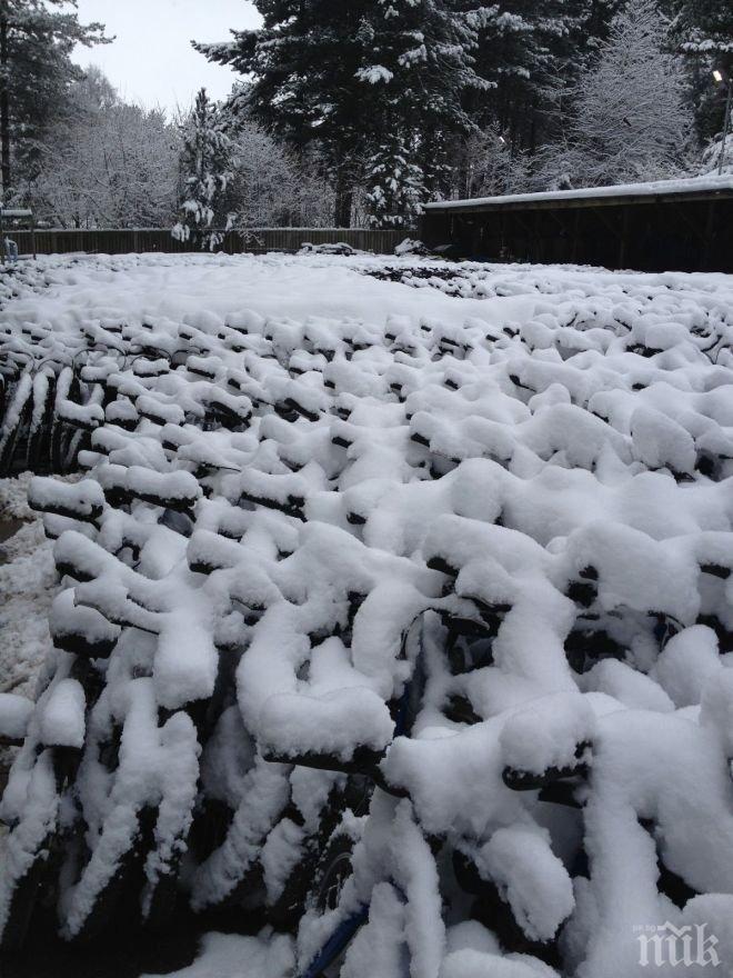 Сняг преваля в Шипково