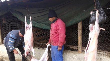 животновъд проплака взимат евтино агнетата магазините цените смайващи