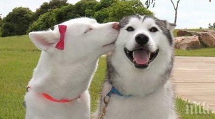 пробвай разгледаш снимки без усмихнеш