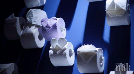 ходжите разрешиха турците тоалетната хартия