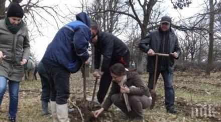 служители областна управа разград засадиха 2500 фиданки