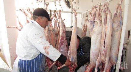 агнешкото румъния изкушава българите ниска цена