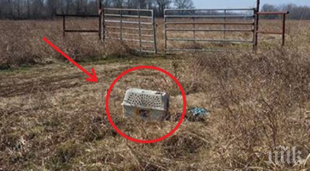 история върне вярата хората