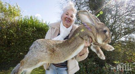 жена държи нещо уникално ръката снимката фотошоп