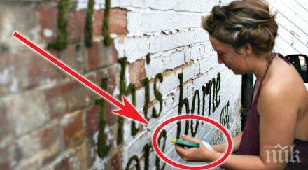 полива стената вода измие резултата смайващ