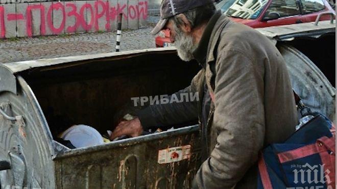 Врачанските кофи за смет крият съкровища