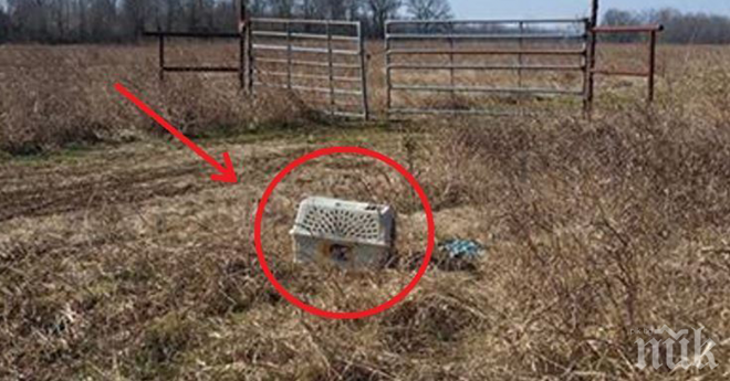 Тази история ще ви върне вярата в хората