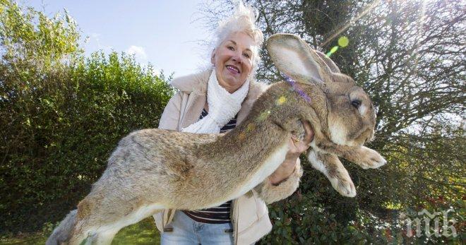 Тази жена държи нещо уникално в ръката си. Снимката не е фотошоп!