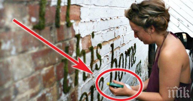 Тя полива стената с вода, но не за да я измие! Резултата е смайващ...