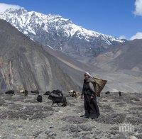Тибетска монахиня се самозапали	