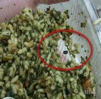 Потрес! Спанак с ориз и буболечки си купи момиче от известна верига магазини! Познайте от коя!