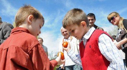 бой яйца радомир биячът печели колело