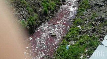 карнобат шок реката почервеня кръв снимки