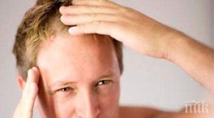 учени яростното скубане ефикасен лек плешивост