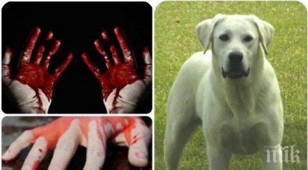 потрес химик уби приятелката зверски начин изневерила домашното куче