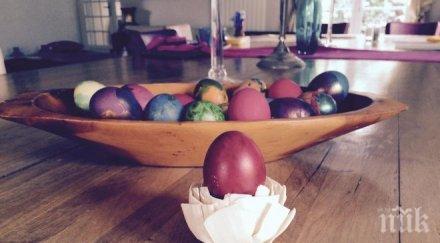 кристалина показа яйцата