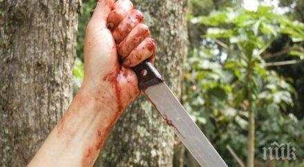 кошмар великден зверско убийство разтресе разградско намериха заклан мъж хижа пчелина