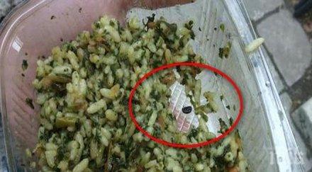 потрес спанак ориз буболечки купи момиче известна верига магазини познайте