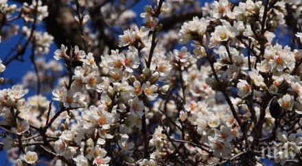 махайте палтата иде жега градусите скачат