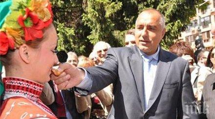 нсо първи опитат яйцата козунака бойко борисов