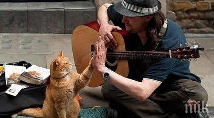 интелектът зависи музикалните предпочитания