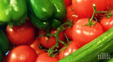 внасяме краставици лошо качество гърция