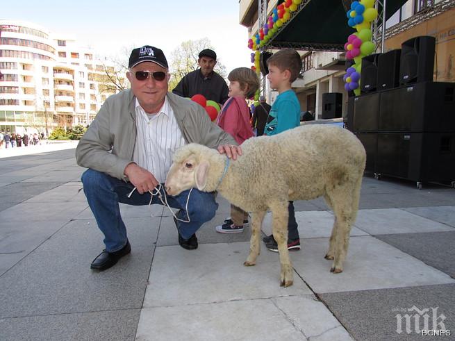 Пенсионер спечели живото агне от Великденска томбола