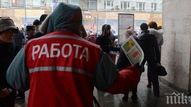 Младите безработни с 16 000 по-малко