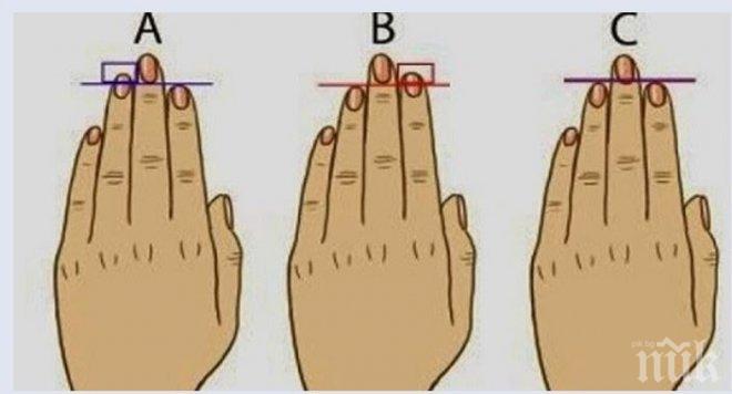 Уникално! Проверете! Дължината на пръстите разкрива много за вашата личност