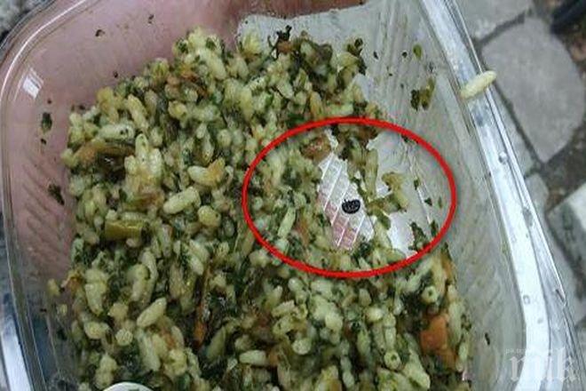 Потрес! Спанак с ориз и буболечки си купи момиче от известна верига магазини! Познайте от коя! Потрес! Спанак с ориз и буболечки си купи момиче от известна верига магазини! Познайте от коя!