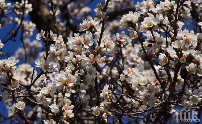 Махайте палтата, иде жега! Градусите утре скачат!