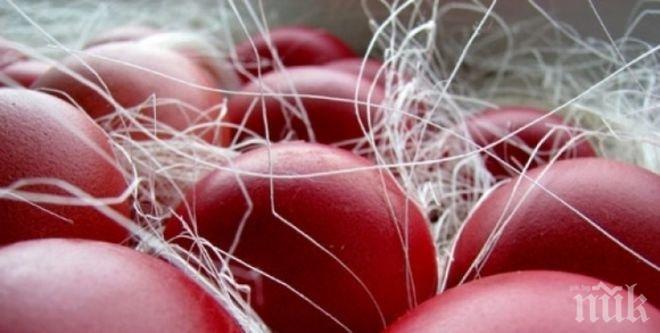 ЦСКА: Нека този Великден бъде специален за Вас

