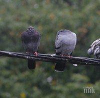 Пак облачно, но за кратко