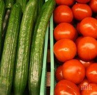 Скандал! Внасят бракувани домати и краставици