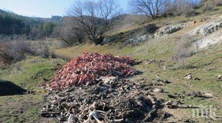 стралджа започва изграждането пункт управление животински отпадъци