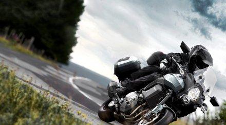 рокер без книжка блъсна куче бясна скорост претрепа гаджето