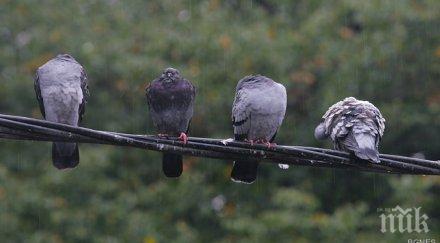 пак облачно кратко