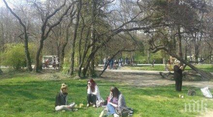 разтурни понеделник докара истинско лято варна снимки