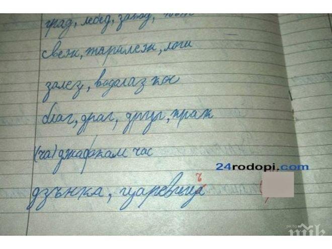 Шок! Първокласник написа „царевицА“, учителката каза „Не“ и поправи на „царевицЪ“