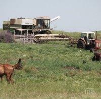 Стопаните с интерес към подмярка 