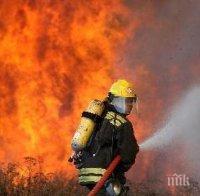 Обявиха извънредна ситуация в Бурятия заради горски пожари
