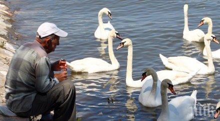 балканите появи нова независима държава