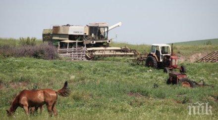 стопаните интерес подмярка инвестиции земеделски стопанства