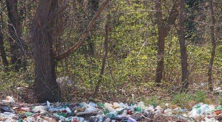 камчия тъне боклуци