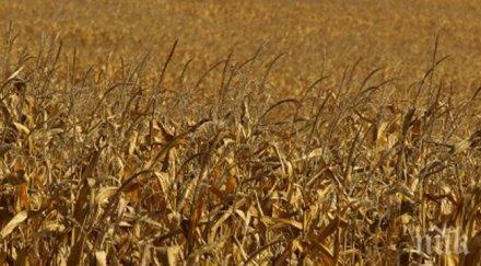 земята добруджа поскъпна почти тройно