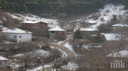 поражения общинската гора бойница зимното обледяване дърветата