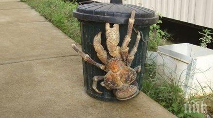 снимки променят твоята представа относно големината животните подозирал другите определено изненадат