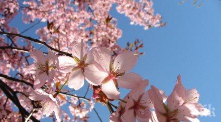 топло сутрин било варна видин