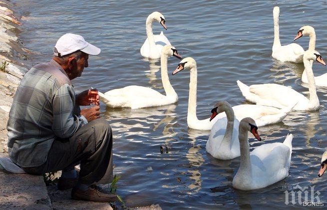 На Балканите се появи нова независима държава