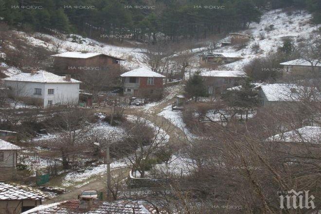 Има поражения по общинската гора на Бойница от зимното обледяване на дърветата
